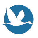 InterNations app icon