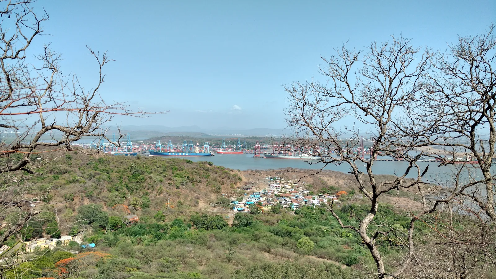 Container ships and gantry cranes at a busy Indian seaport, where freight forwarders manage shipments and billing