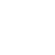 Ensuredit logo