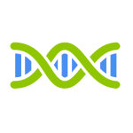 Helical Insight logo