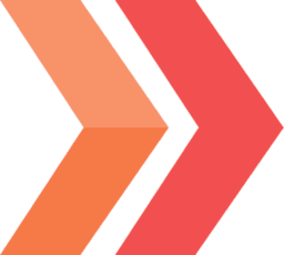 IDS Next logo