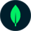 MongoDB Compass logo
