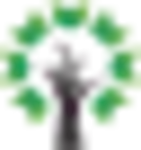 Next Education logo