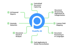 Peakflo logo