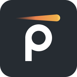 Pynt logo