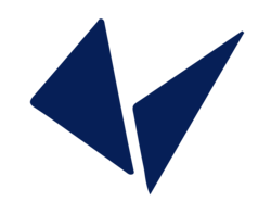 Vidyakul logo