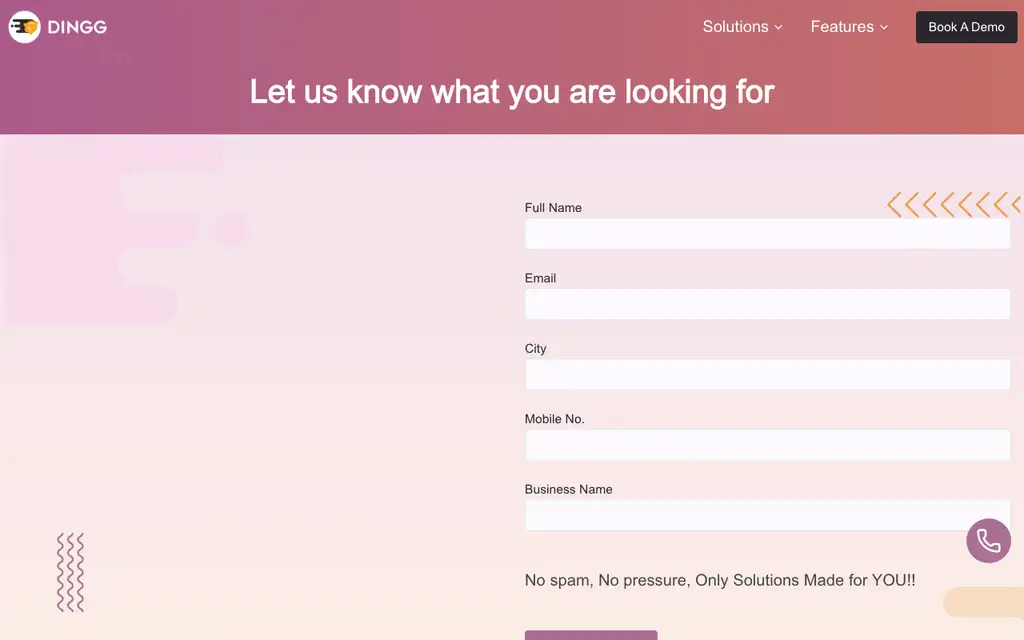 Dingg Pro website homepage screenshot