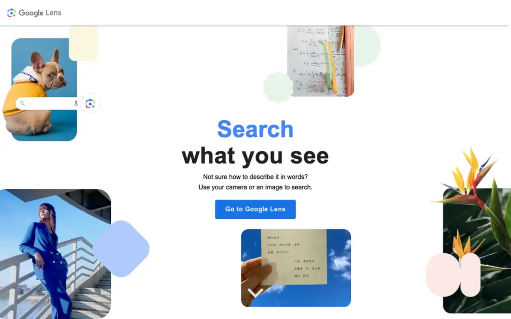 Google Lens website homepage screenshot