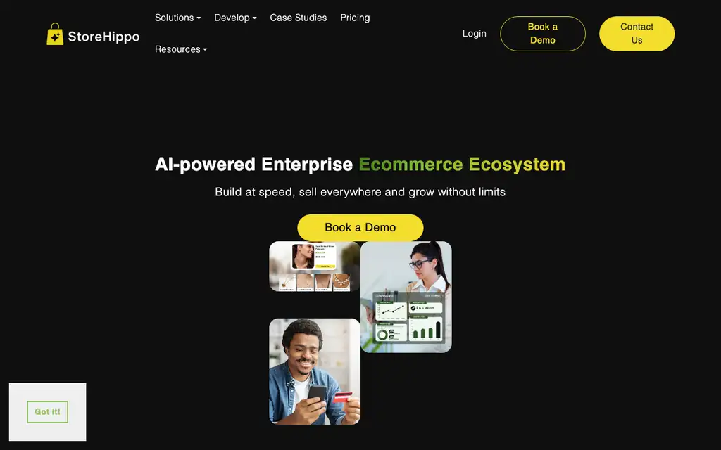 StoreHippo website homepage screenshot